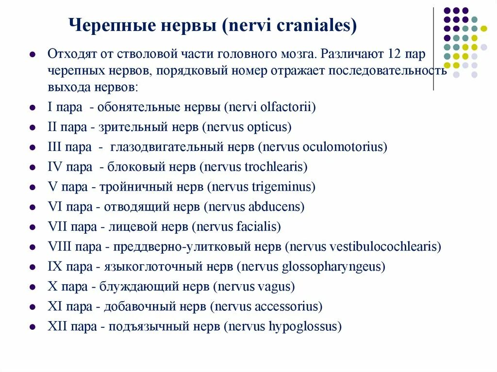 Сколько пар черепных нервов отходит. 9 Пара черепно мозговых нервов. 9 Пара черепных нервов неврология. IX пара черепных нервов. 9-12 Пар черепных нервов.