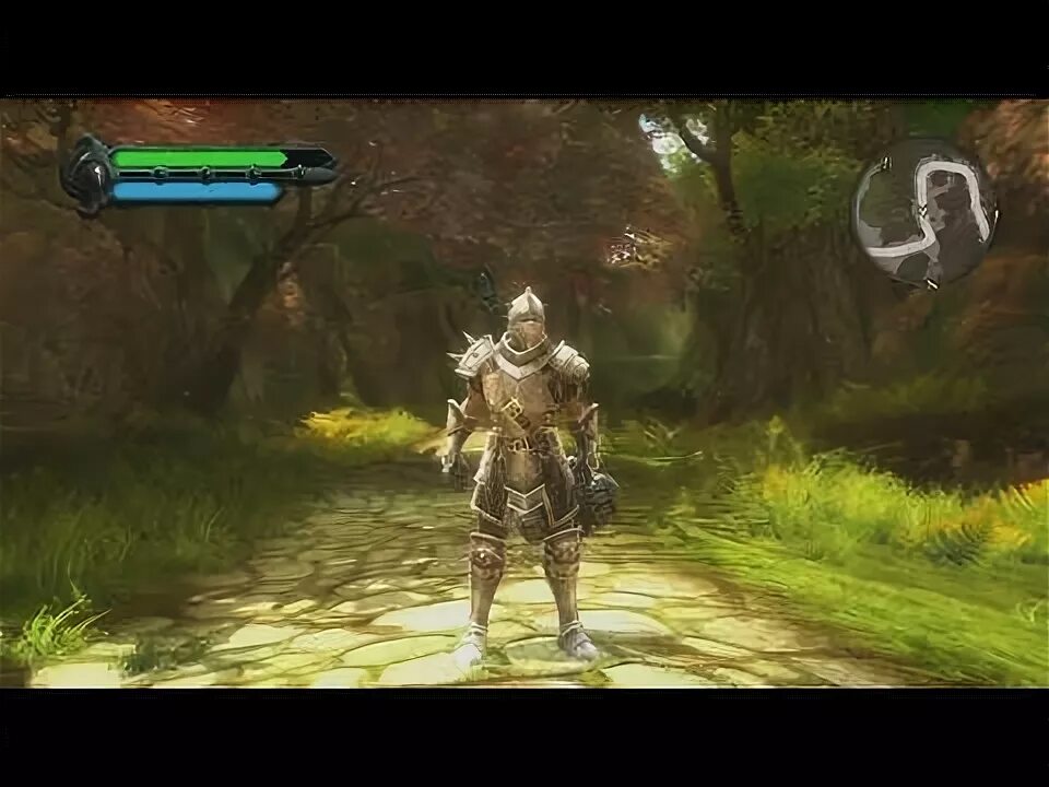 Kingdoms of amalur reckoning где. Kingdoms of amalur gameplay. kingdoms of amalur reckoning ps3 gameplay. элин шир амалур. kingdoms of amalur re-reckoning доспехи.
