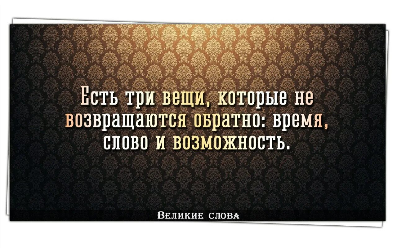 Прожить обидеть. Великие слова. Цитаты про наглых людей. Цитаты про ложь. Мудрые мысли.