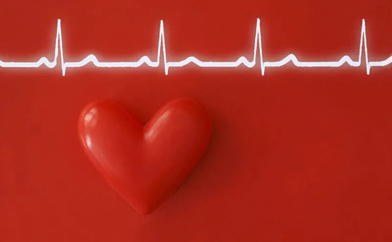 To understand a heart. To understand a heart