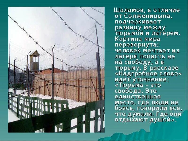 Отличие школы от тюрьмы. Разница между тюрьмой и тюрьмой. Отличие сизо от тюрьмы и колонии. Разница между тюрьмой и тюрьмой. Тюремная камера с заключенными.