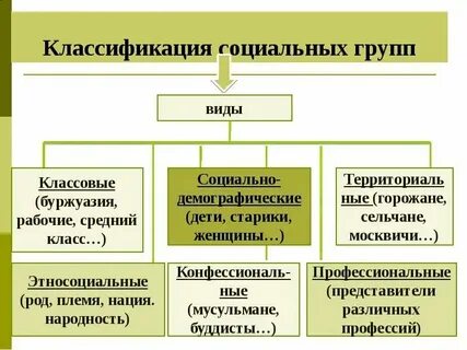Депутаты социальная группа