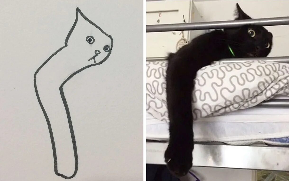 Коты рисунки. Идеи для рисунков с котами. Кривой рисунок кота. Смешные коты рисунки.