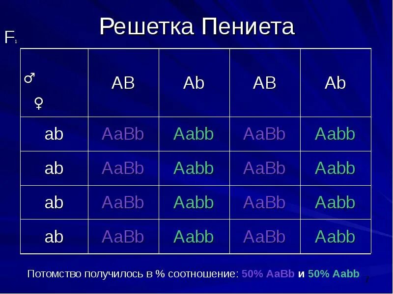 Скрещивание ААВB × AABB. AABB генотип. AABB X AABB скрещивание. AABB гаметы.