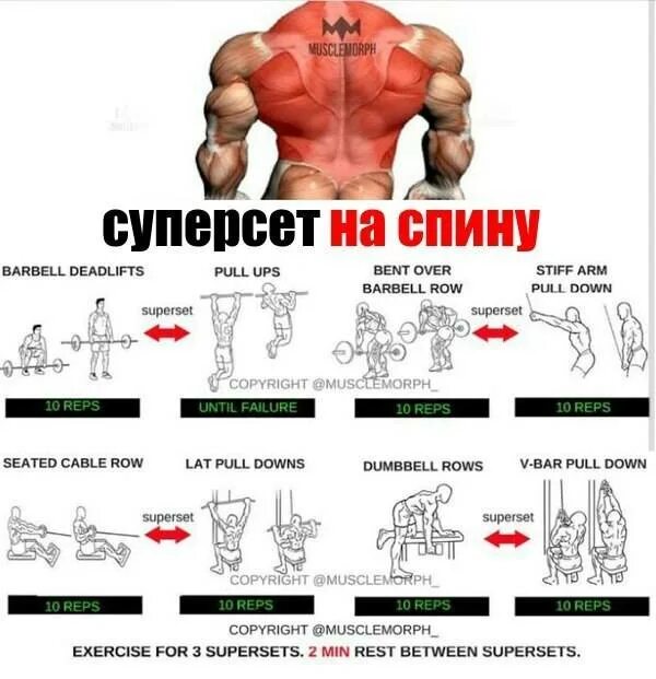 Программа тренировки плеч в зале. Трицепс плечи тренировка суперсеты. бицепс трицепс упражнения суперсет. суперсет на спину для мужчин в тренажерном зале. план тренировок суперсеты.
