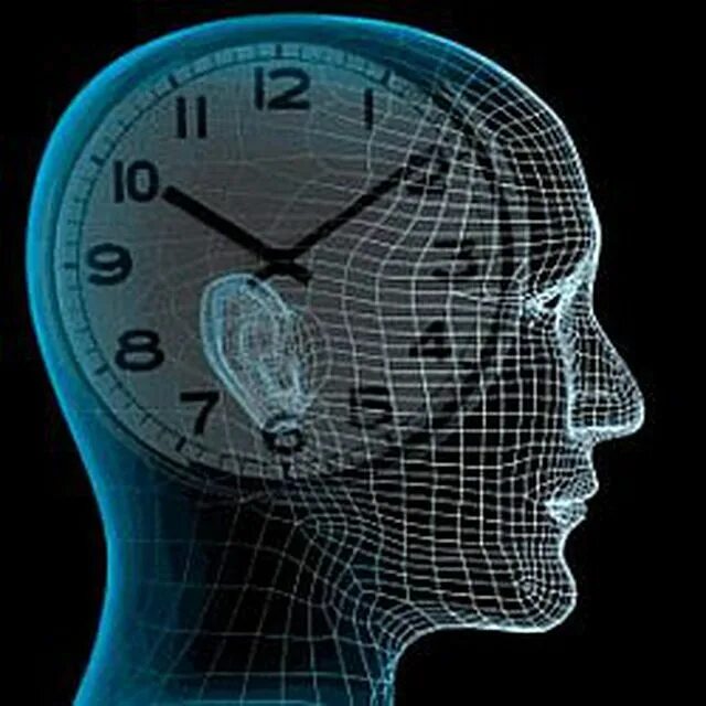 Влияние времени жизни на. Биологические часы. Человек часы. Часы мозг. Биоритмы часы.