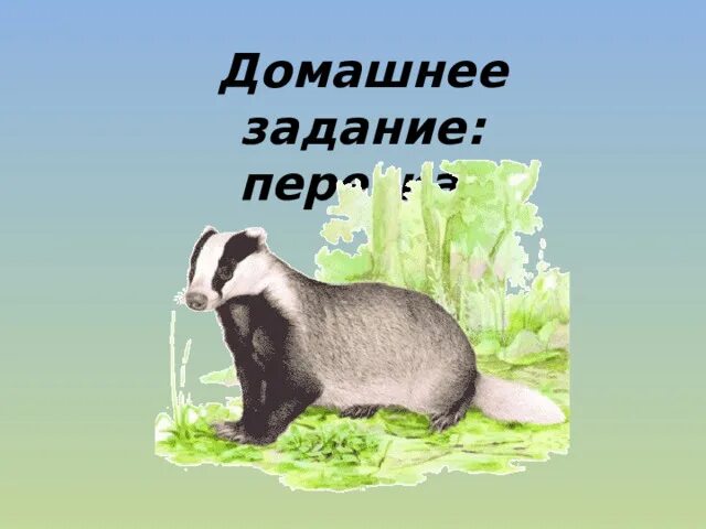 К. Паустовский "барсучий нос". Барсучий нос Паустовский слайд. Урок барсучий нос. Барсучий нос план. План рассказа барсучий нос паустовского 3 класс