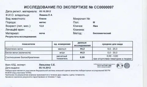 Креатинин в моче кота