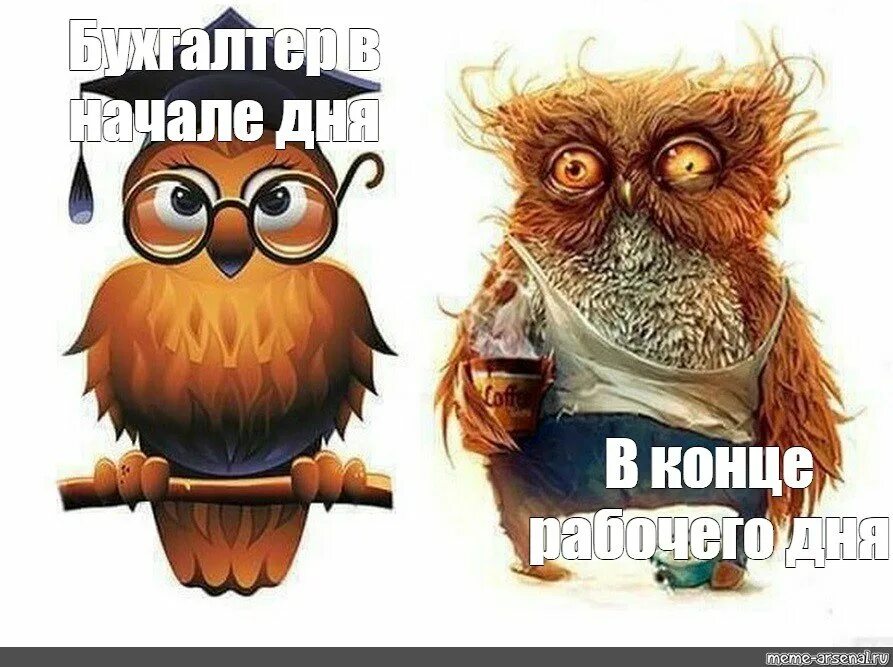 Учитель в начале и конце года. Сова учитель в конце года. Изменения смешные картинки. Учитель мотиватор. Конец четверти.