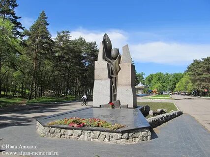 Черный тюльпан хабаровск