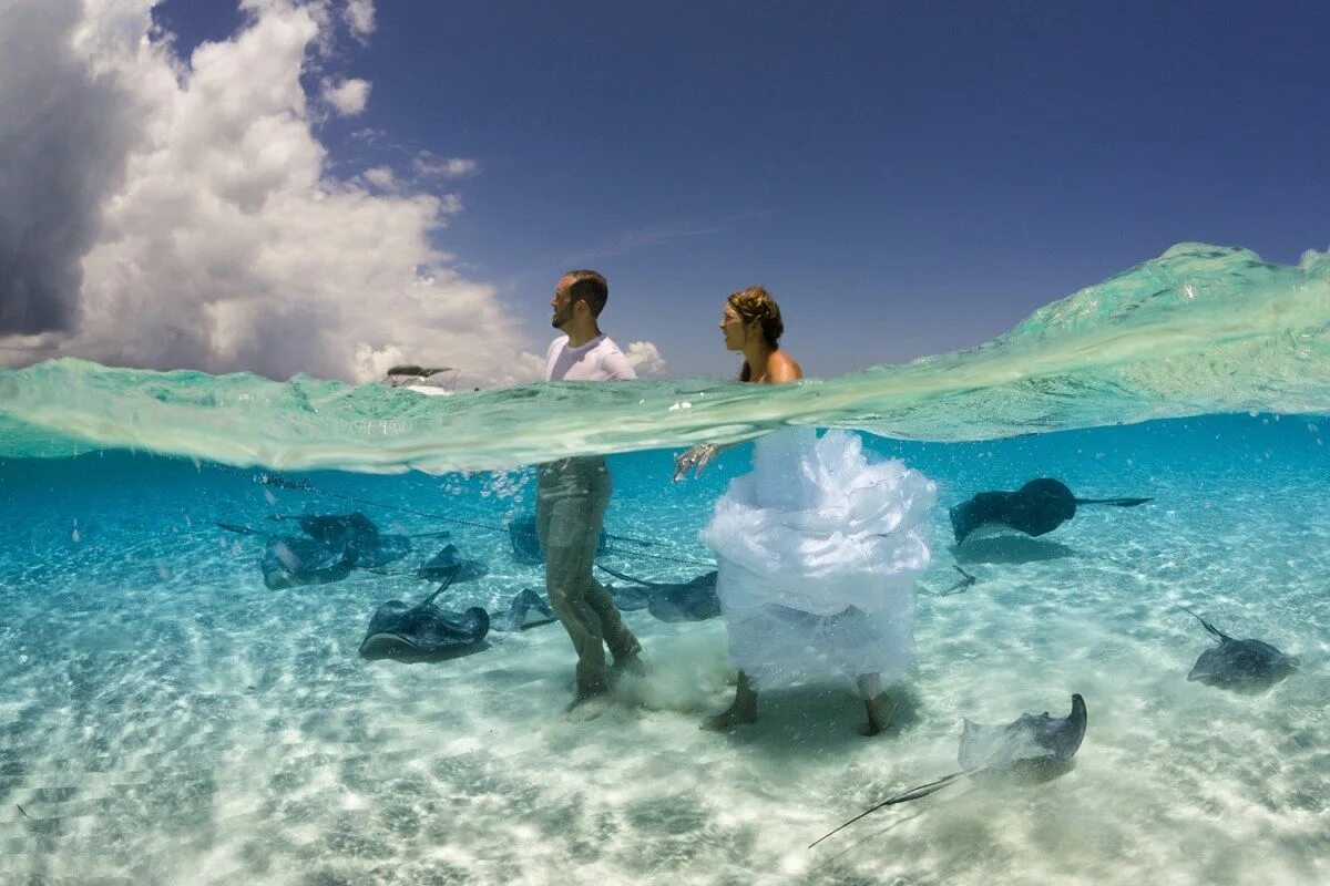 Следующий уникальный. Интересные фотографии. Красивый Кадр. Необычные впечатления. Красивые необычные фотографии.