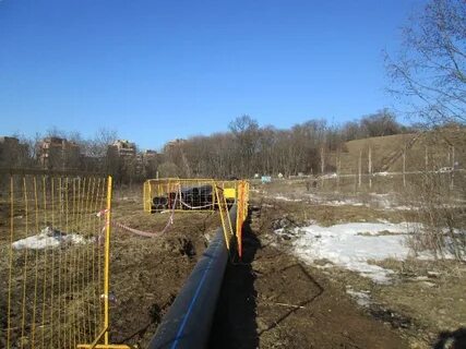 Погода в сходне на 3