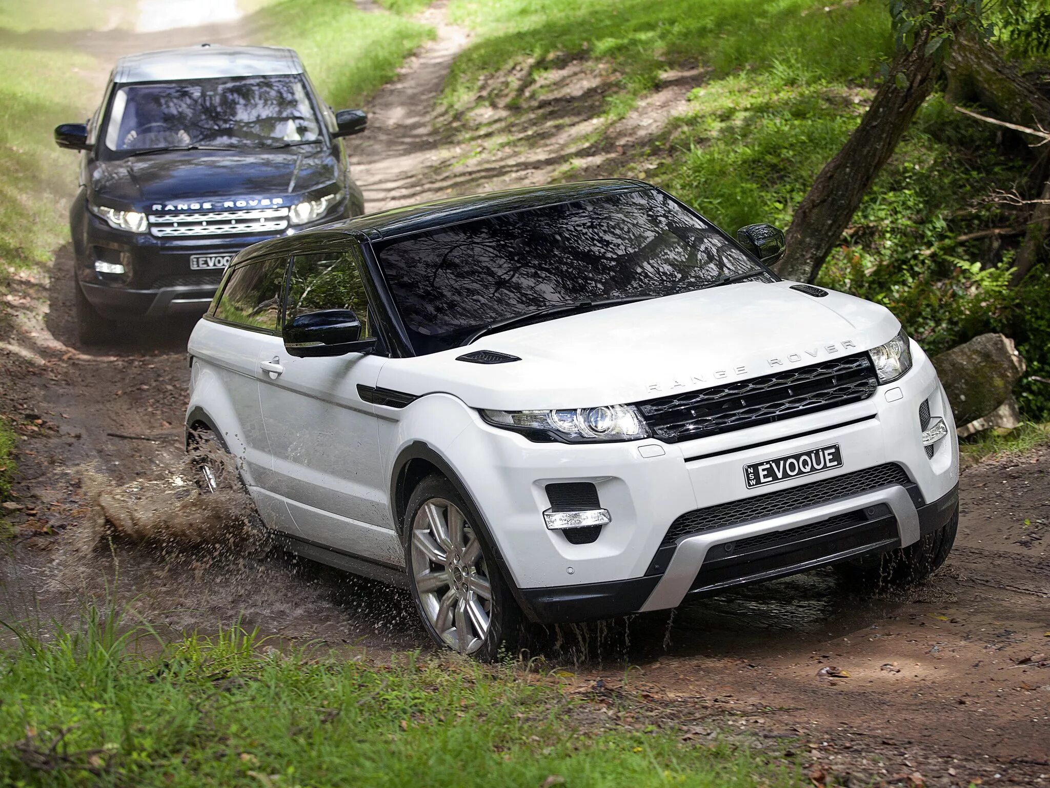 Ленд Ровер Эвок. Range Rover Evoque 2012. Реэйндж Ровер Ивокью. Ленд Ровер range Rover Evoque. Ленд ровер эвок купить