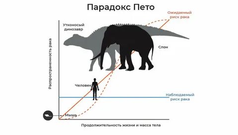 Почему большой а не большей