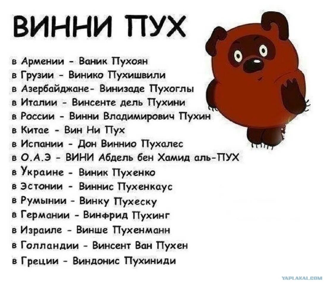 Описание винипуха. Как зовут Винни пуха в разных странах. Смешные фразы Винни пуха. Винни пуз в разных стран. Анекдоты про Винни пуха.