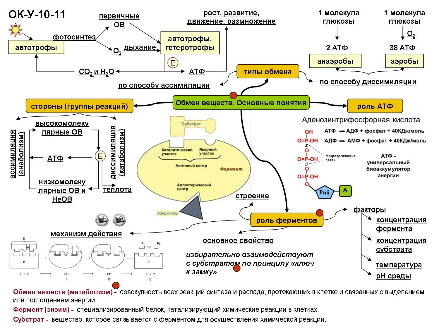 Температура атф. Схема энергетического обмена 10 класс биология. Схема обмена веществ по биологии 9 класс. Метаболизм клетки схема.