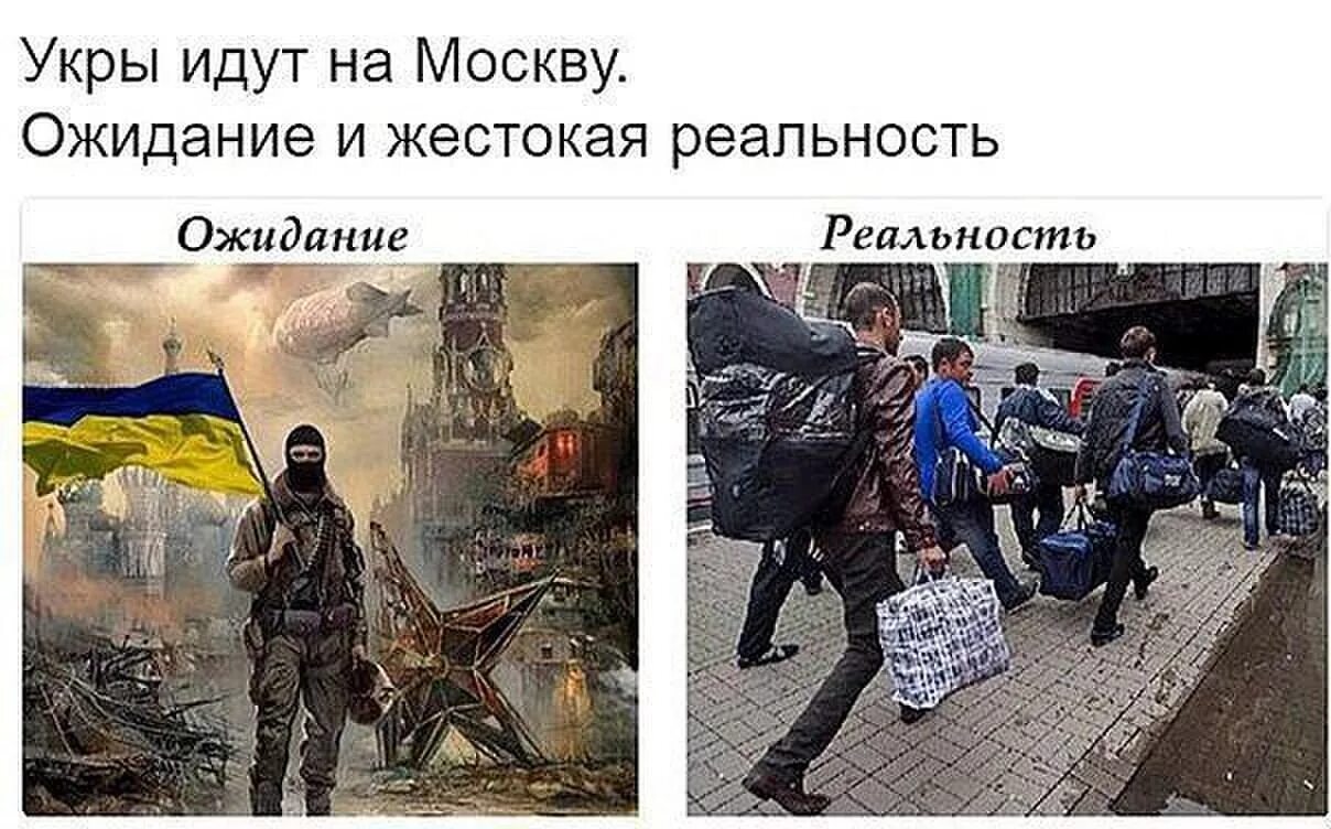 Эй хохлы вас опять алиса. Украинские войска реальность и ожидание. Хохлы в Москве ожидание реальность. Украинские воины ожидание и реальность. Демотиваторы про Украину.