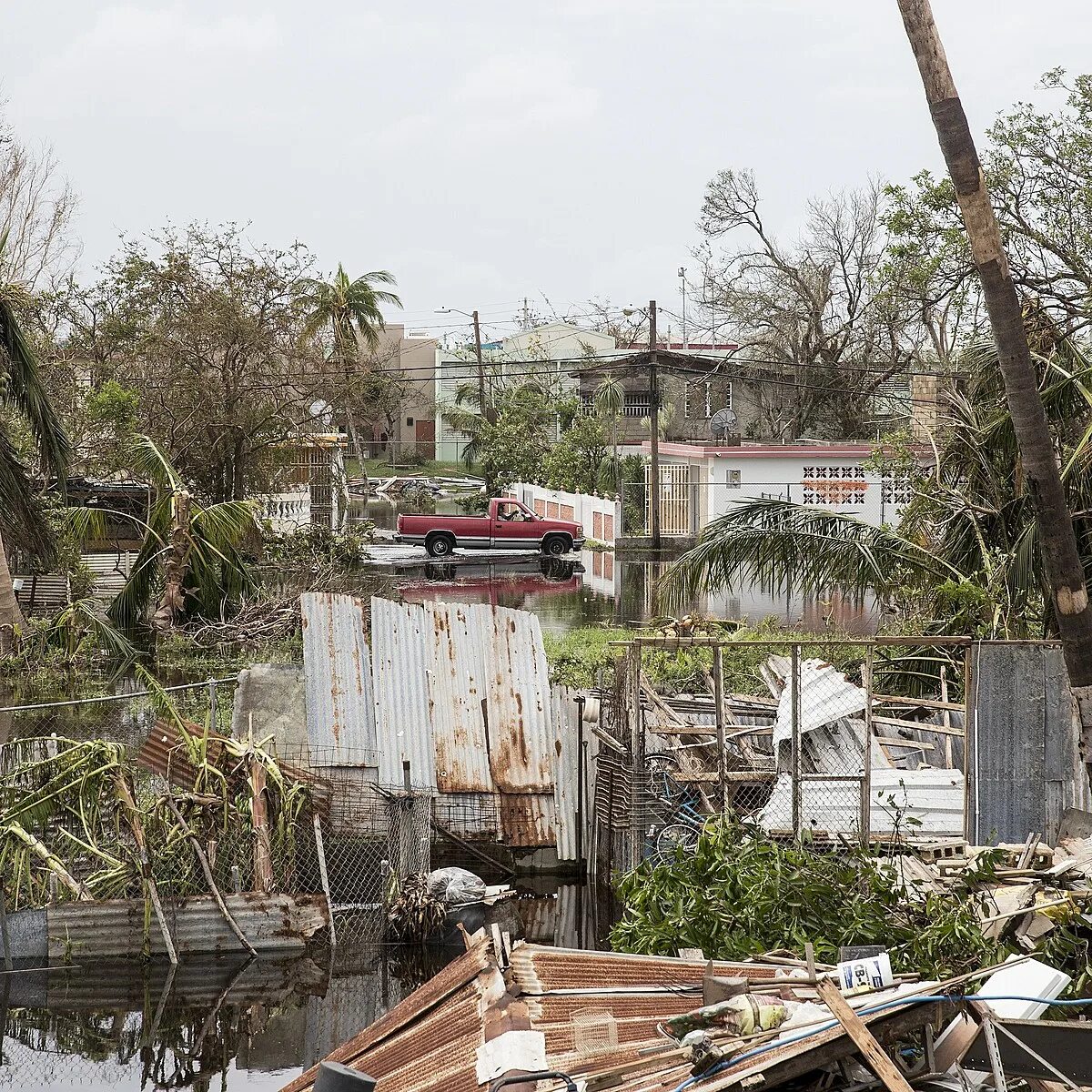 After maria. Maria Hurricane. Maria Hurricane фото. 2017 Hurricane Maria.