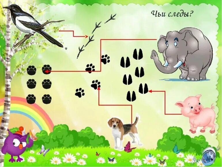 Следу задание. Чьи следы?. Дидактическая игра следы. Найди следы животных. Игра по следам животных.