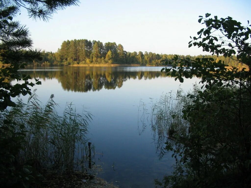 Озеро нижнее отзывы. Озеро Рой Нижегородская область. Озеро Рой Сосновский район Нижегородская. Сосновское озеро Нижегородская область. Озеро Родионово Сосновский район.