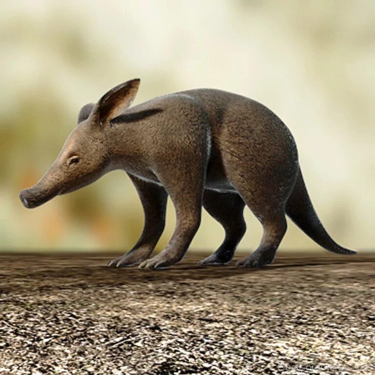 Курганчиковая мышь. Выдровая землеройка. Землеройка бурозубка. Аардварк земляной. Млекопитающее земляным оленем или земляной мышью.