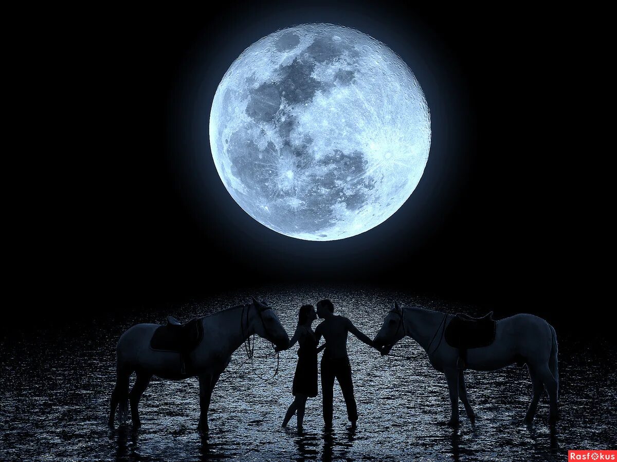 выйдем с тобой побродить в лунном сиянии