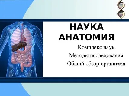 Анатомия это наука