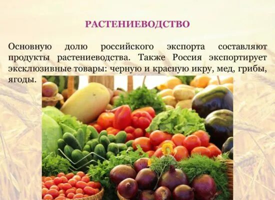 Переработка продуктов растениеводства. Отрасли растениеводства. Овощные и плодовые культуры. Растениеводства в пищу. Овощные культуры список 2 класс окружающий мир.