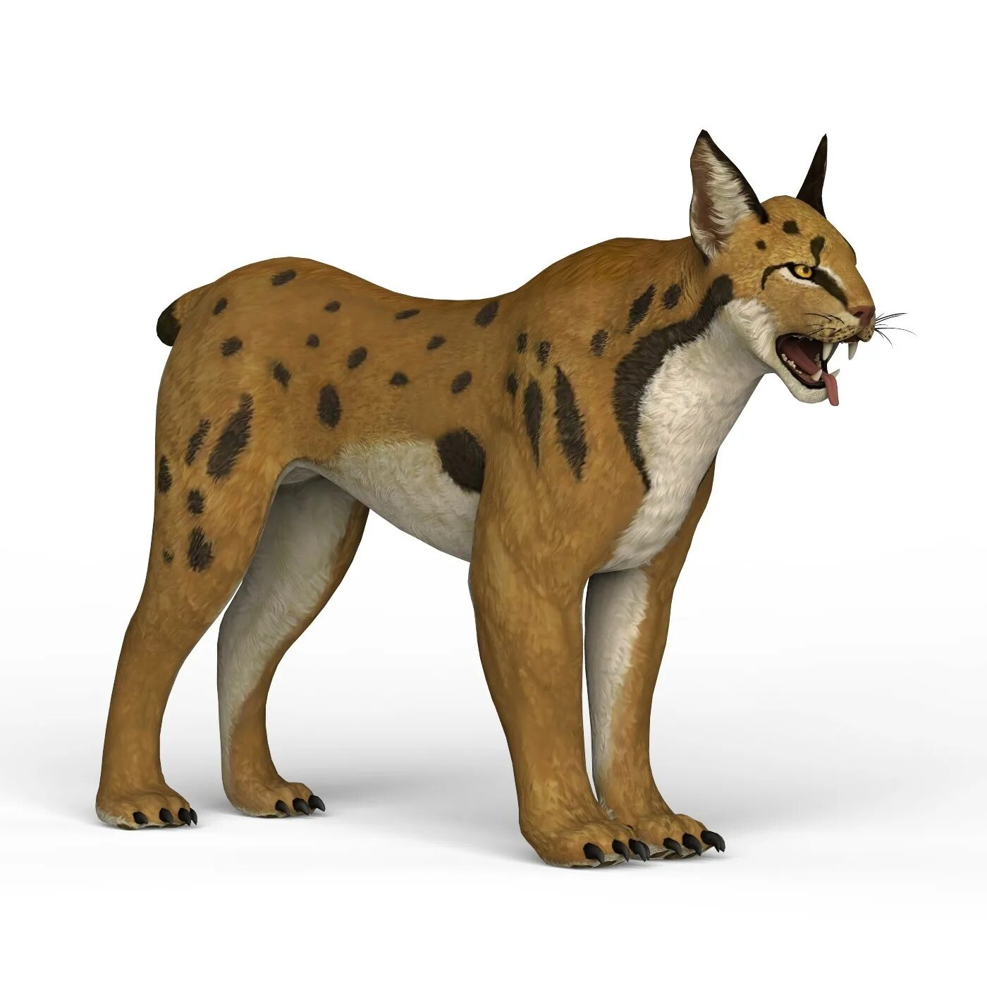 Lynx 3d model. Рысь модель. Рысь 3д модель. 3-D модель Рысь STL.
