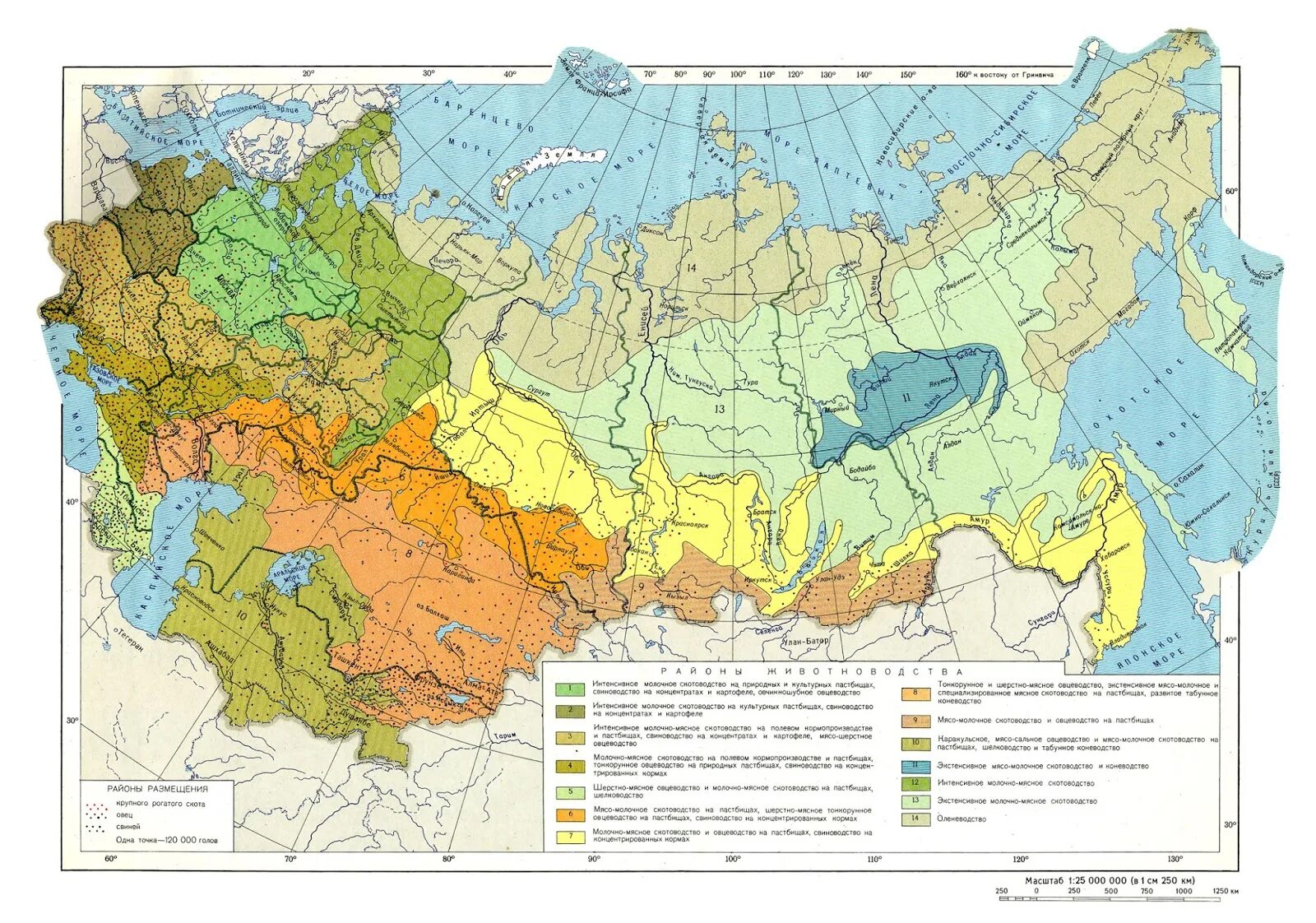 Районы животноводства в России на карте. Животноводство на карте России география 9 класс. Основные районы животноводства в России на карте. Молочное животноводство в России карта.