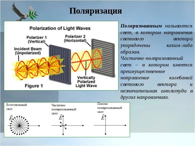 Оптическая поляризация. Линейная ортогональная поляризация. Поляризованная электромагнитная волна. Частичная поляризация света. Поляризация света поляризатор.