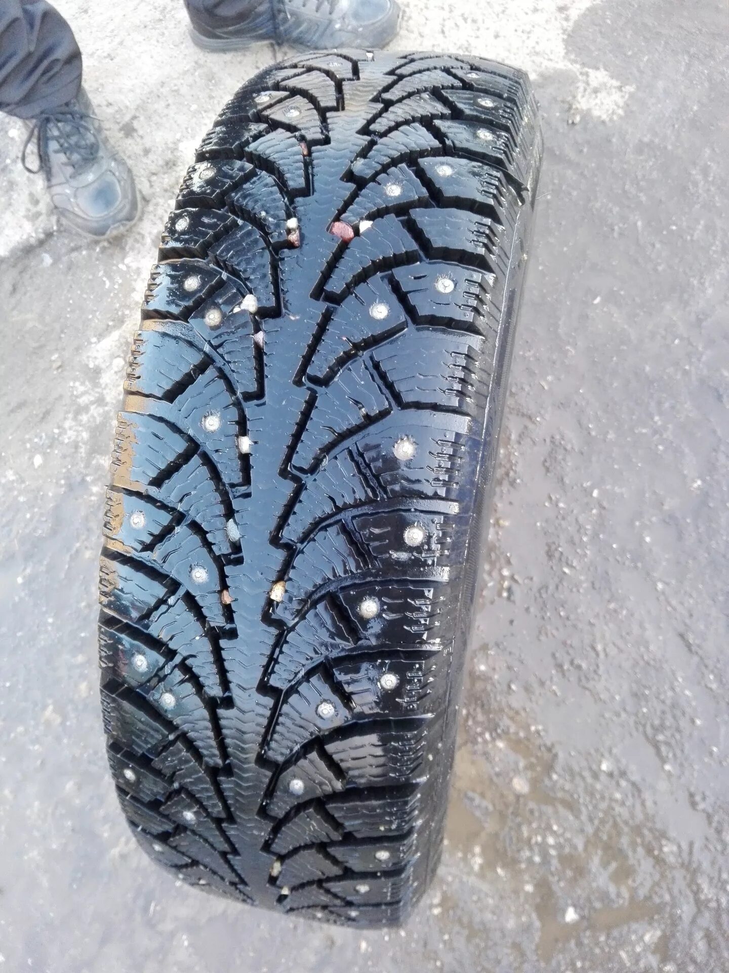 Kama Euro 519 185/65 r15. 185/65 R15 Кама евро шип. Кама евро 519 зимняя.