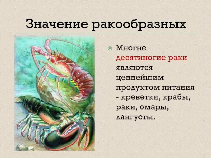 Десятиногие ракообразные. Членистоногие ракообразные. Класс ракообразные. Представители класса ракообразные.