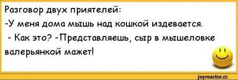 Анекдот про мышь