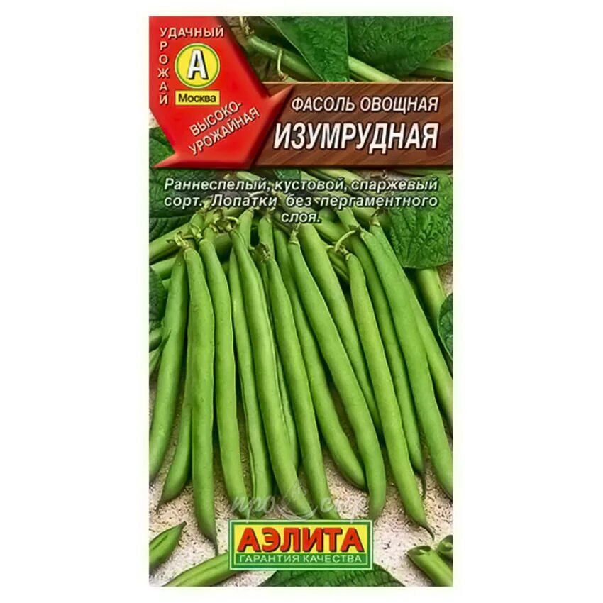 Фасоль кустовая сорта. Фасоль спаржевая сорт изумруд. спаржевая фасоль семена. фасоль изумрудная спаржевая кустовая.
