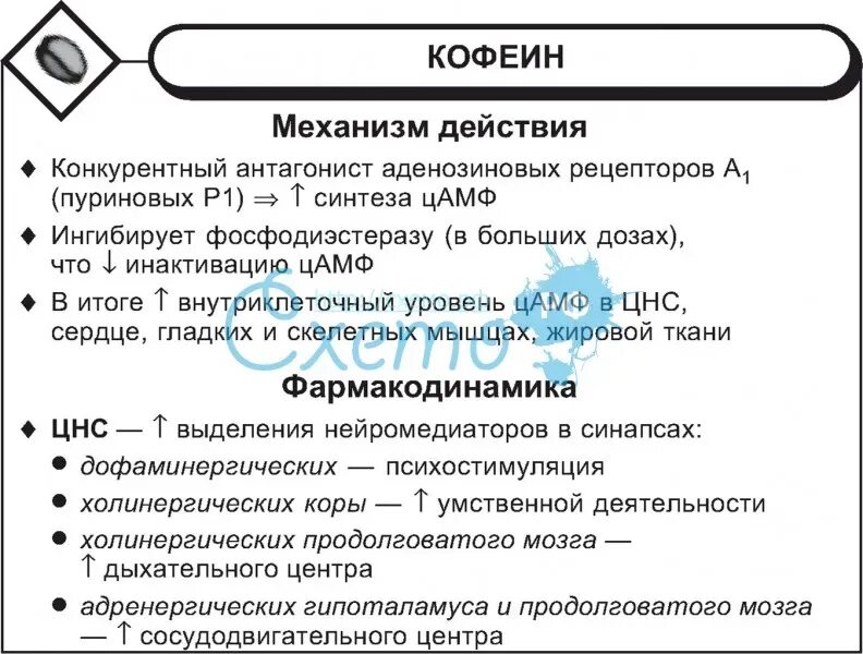 Механизм действия кофеина фармакология. Механизм действия кофеина фармакология схема. Эффекты кофеина фармакология. Механизм кофеина