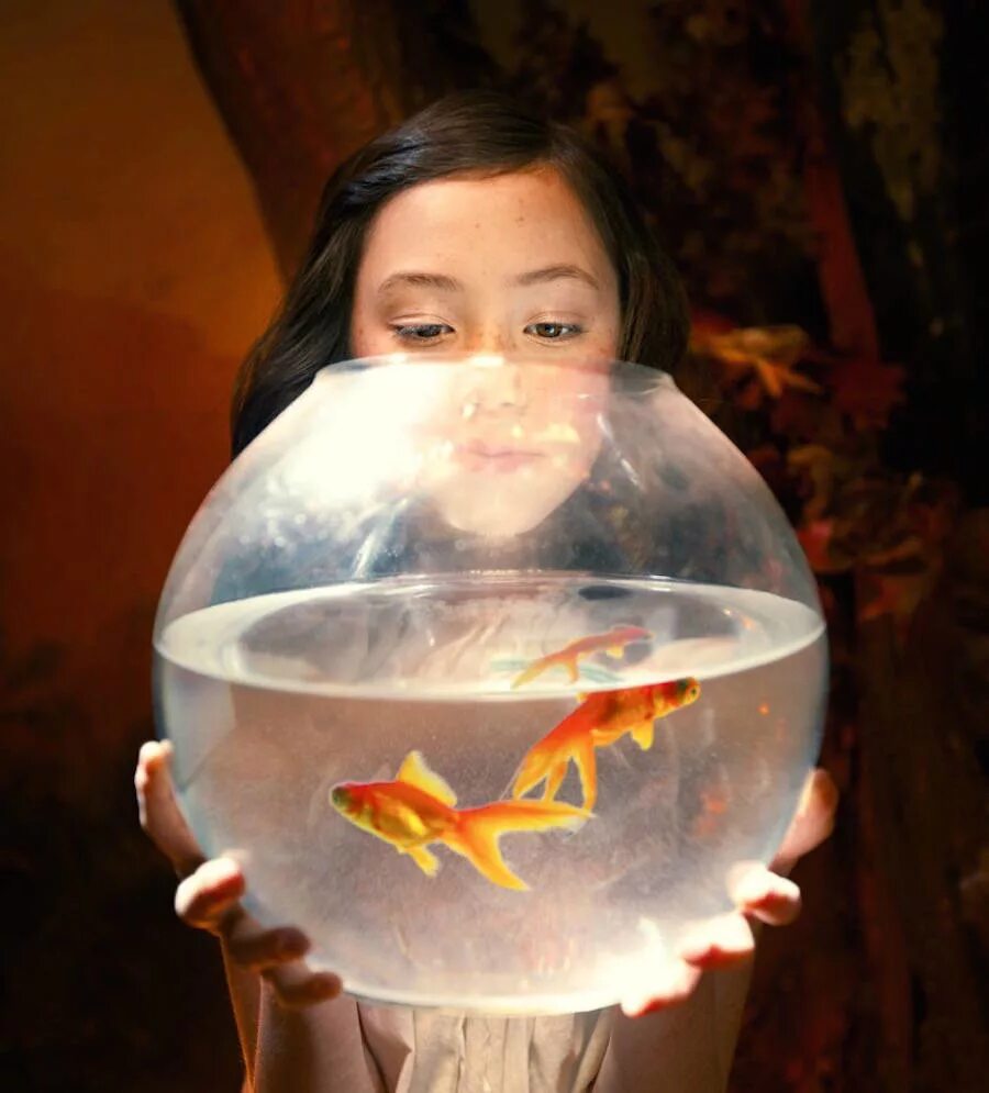 Аквариум снится девушке. Аквариум снится девушке. Девушка спит в синей. Золотая рыбка в аквариуме. Девушка в аквариуме.