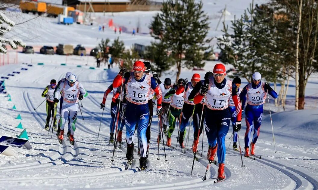 Малиновка Архангельская область лыжные гонки. Чемпионат России по лыжным гонкам 2024. Лыжные гонки вид спорта. Лыжные гонки спринт. Чемпионат россии по лыжным гонкам расписание трансляций