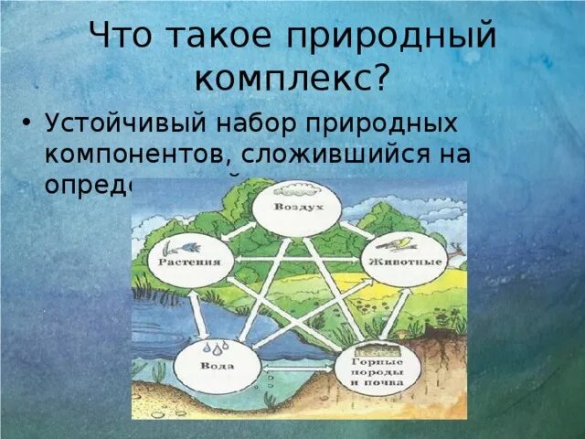 Что относится к природным компонентам. Схема природного комплекса. Схема компоненты природного комплекса. Природный комплекс рисунок. Природный территориальный комплекс.