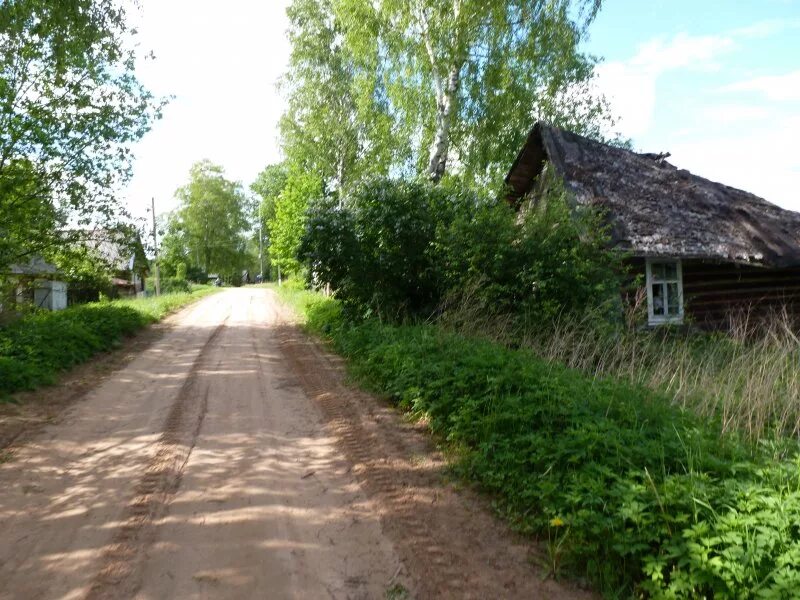 Деревня россия новгородской области. Демянский район Новгородской области. Демянский район Новгородской области деревни. Новгородская область Демянский район деревня скит. Деревня Кипино Демянского района.