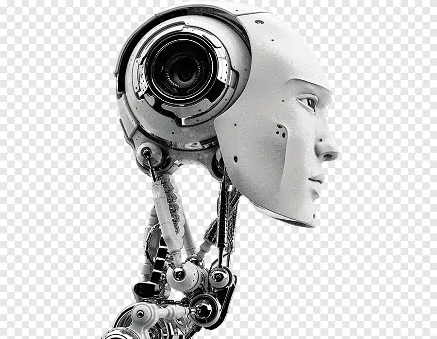 Artificial t