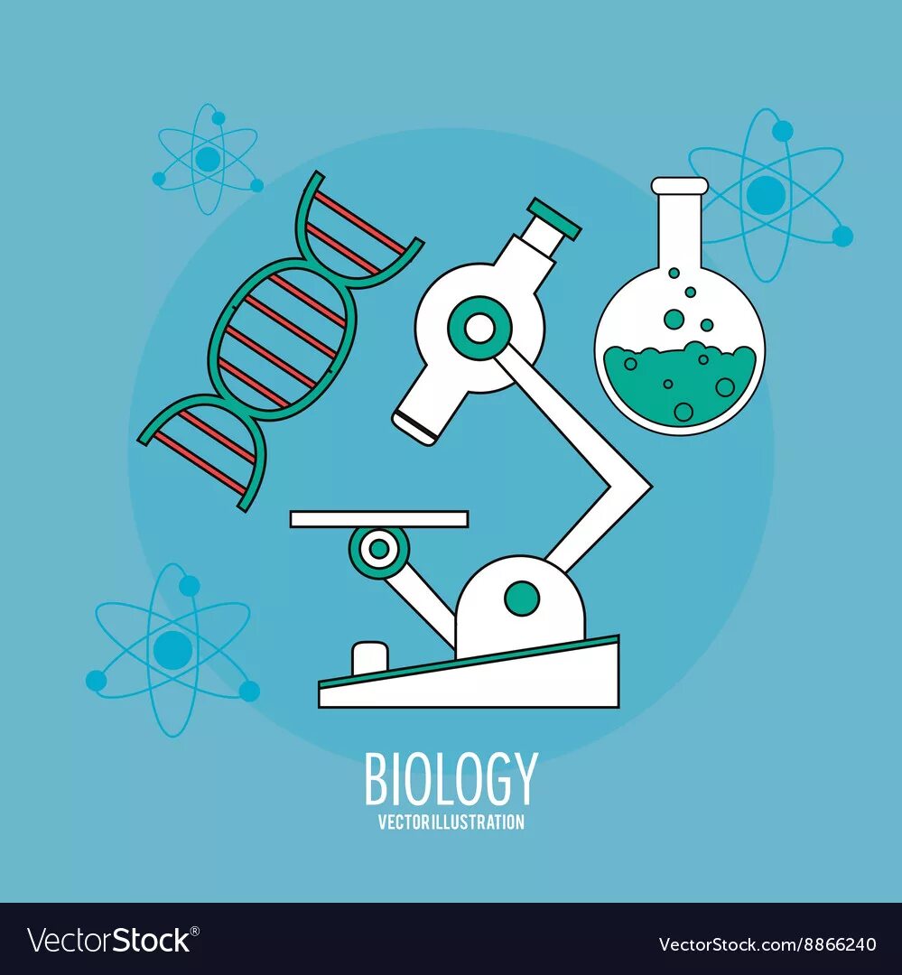 Строение вектора в биологии. Биология вектор. Вектор в биологии. Векторная биология. Биотехнологии рисунок детям.