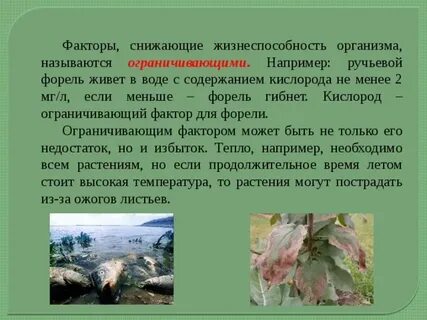 Снижение жизнеспособности