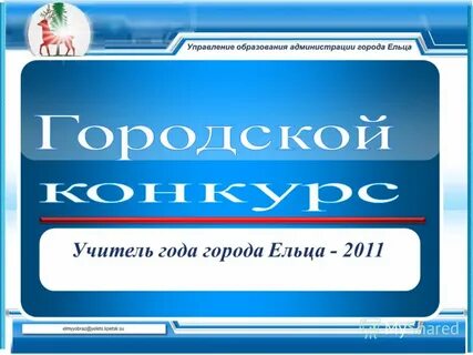 Порядок елец каталог