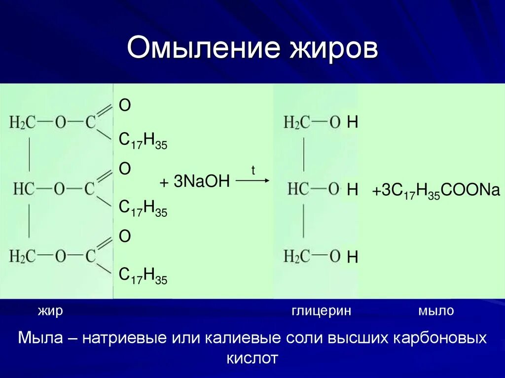 Ферментативный гидролиз жиров. Получение жиров из стеариновой кислоты. Омыление жиров кислотный гидролиз. Уравнение щелочного гидролиза жира. Омыление тристеарина реакция.