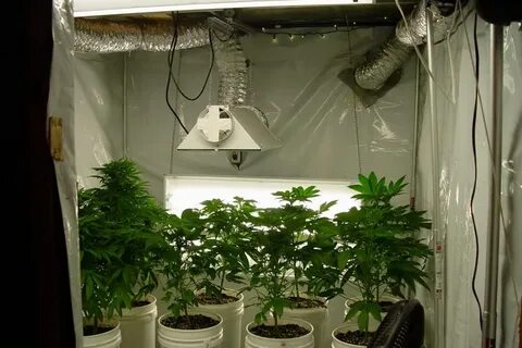Grow center