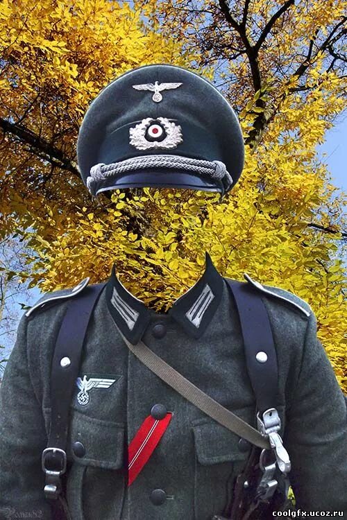Вставить форму. Вставить форму
