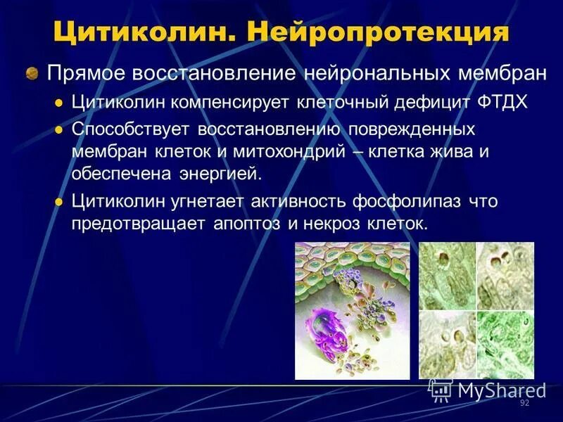 способствует регенерации клеток