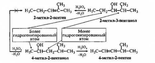 Гомологи пентена. Получить пентен 1 из спирта. Пентен пентанол. Пентин 2. Пентанол 3 h2so4.