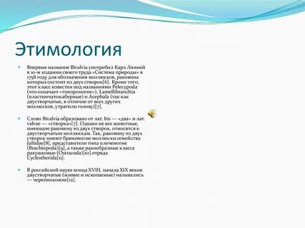 Понятие об этимологии 6 класс презентация
